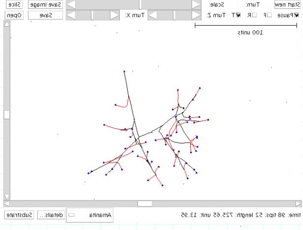 Hoe om afbeeldingen te gebruiken in een Java-applet. In uw methode paint, een parameter die een grafische klasse nodig heeft.