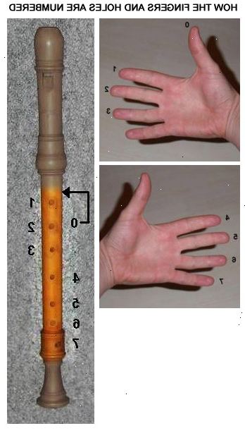 Hoe de blokfluit te spelen. Plaats de recorder niet op je lippen.