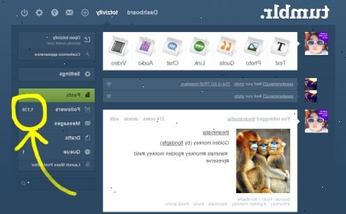 Hoe je meer volgers op tumblr krijgen. Reblog en willen berichten.