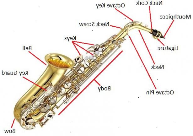 Hoe de altsaxofoon spelen. Krijgen een altsax en de accessoires die nodig zijn om het te spelen.